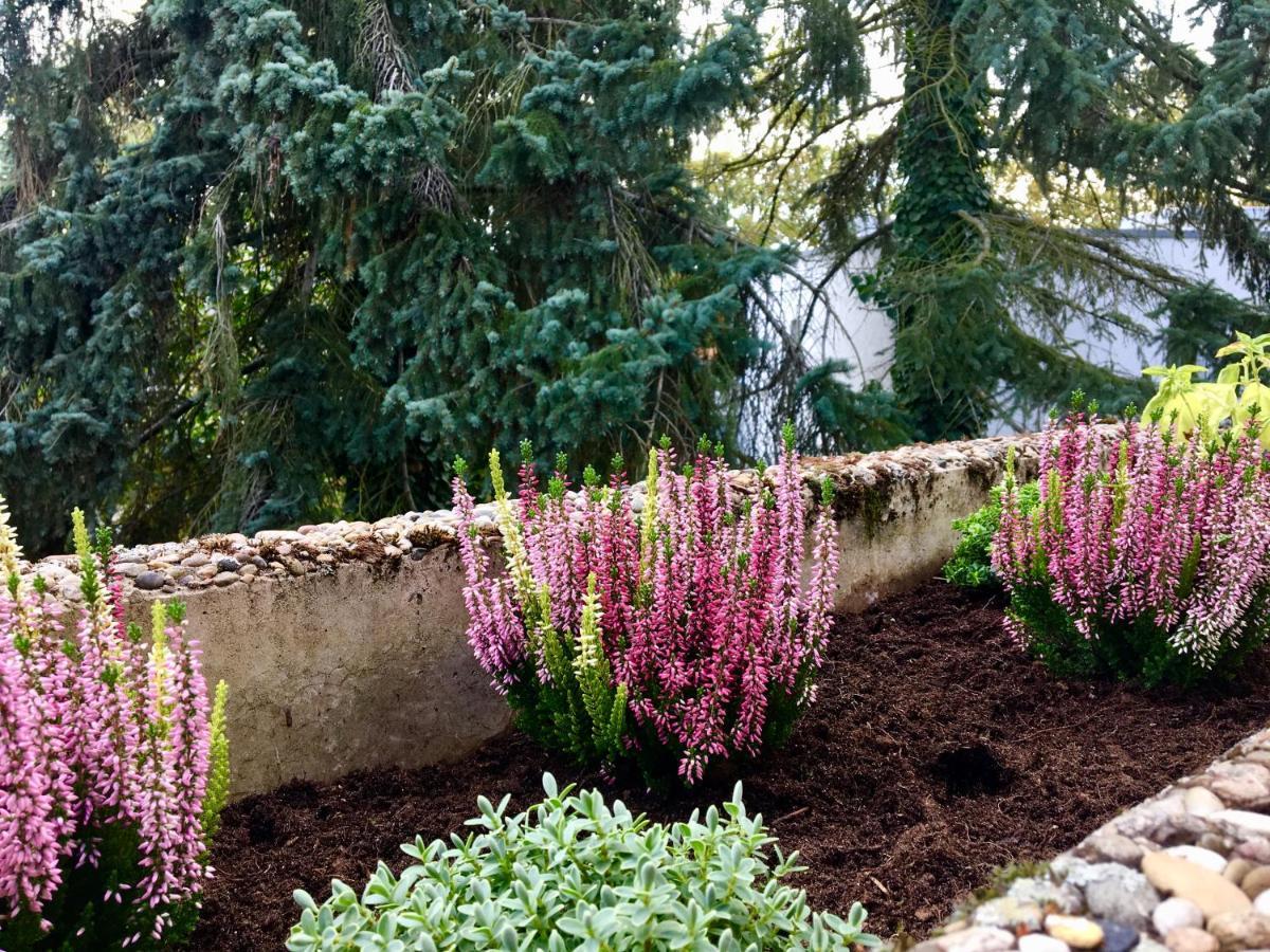 'das Kleine Feine' - Ruhige, Helle Mit Parkplatz Und Balkon *